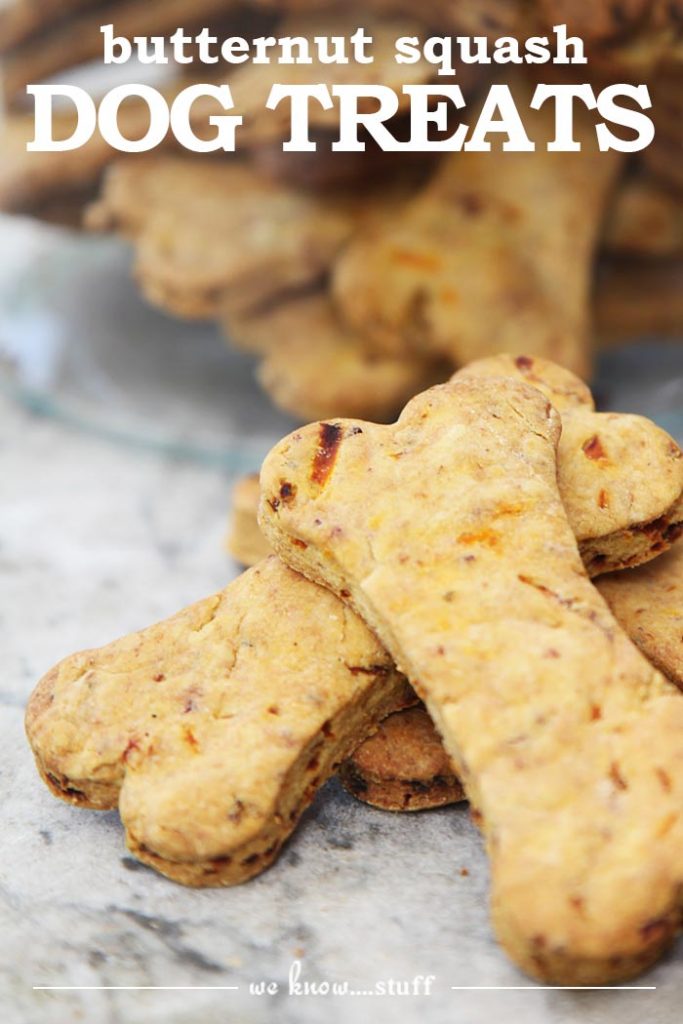 February 23rd is International Dog Biscuit Appreciation Day. Make some of our butternut squash dog treats and celebrate today with your dog!