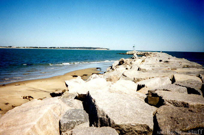 wks_bio_6