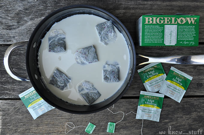 This Homemade Mint Chocolate Chip Ice Cream Recipe is made with a Mint Medley Herbal Tea blend. Using tea instead of extract keeps the mint refreshing instead of overpowering. 