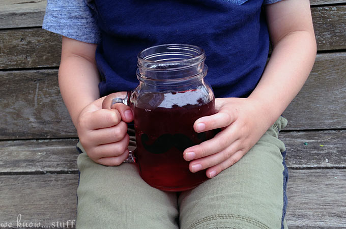 The temperatures are starting to soar outside. So how do you Get Your Kids To Drink More Water? Our Wild Blueberry Acai Iced Tea Recipe is bound to help!