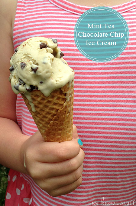 This Homemade Mint Chocolate Chip Ice Cream Recipe is made with a Mint Medley Herbal Tea blend. Using tea instead of extract keeps the mint refreshing instead of overpowering. 