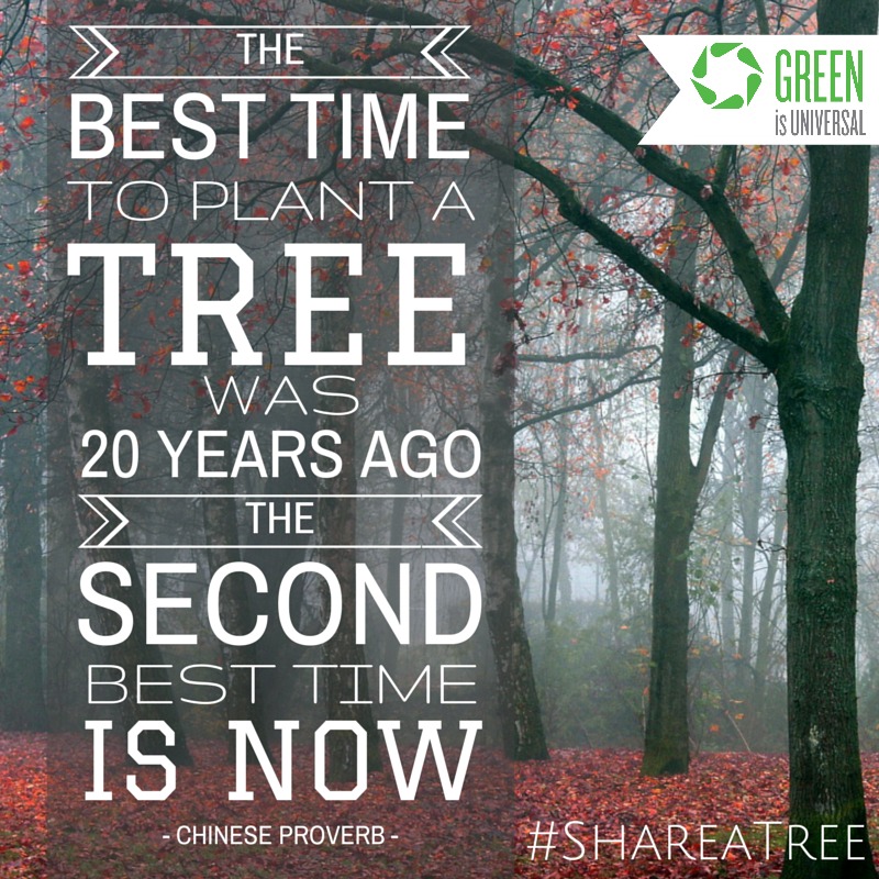 THEbesttimetoplantatree