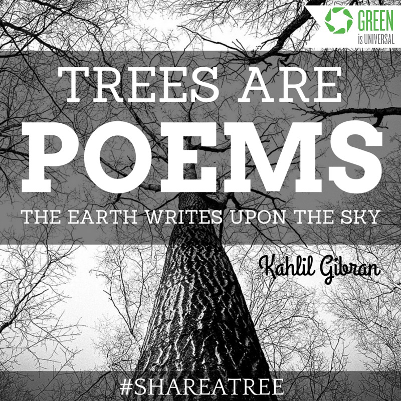 Trees are Poems