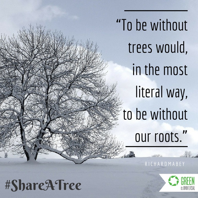 tobewithouttrees