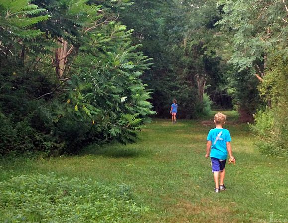 5 Ways to Help Your Kids Be More Green