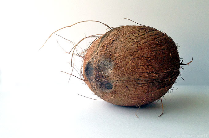 This coconut shell bird feeder craft is a fun way to re-purpose the shell of a coconut.