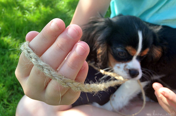 This coconut shell bird feeder craft is a fun way to re-purpose the shell of a coconut.