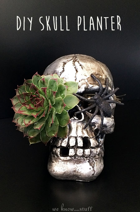 This Skull Planter is an unusual way to add a creepy element to your home for Halloween or any time of the year really. Succulents work best for this craft.