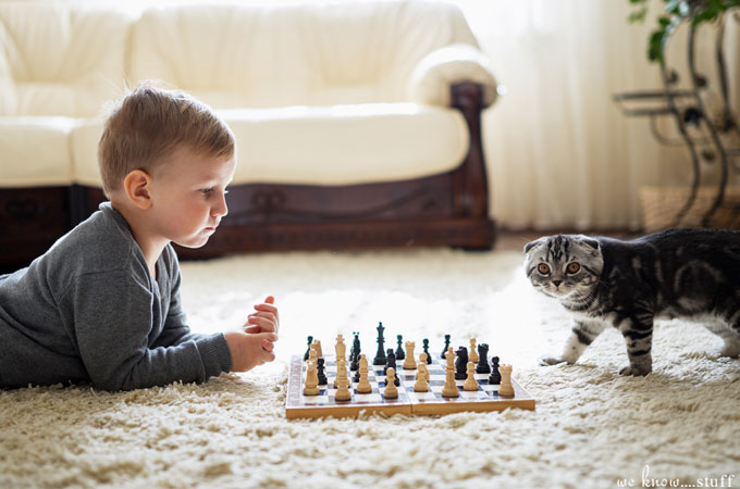 The cold, wintry weather is ahead. Is your family prepared? Keep your kids from having too much screen time with our list of Good Board Games For Kids!