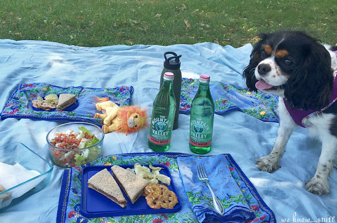 We love hiking with our kids so we put together these 6 Tips For Successful Nature Walks With Kids to share with you. The most important one? Let them lead the process!