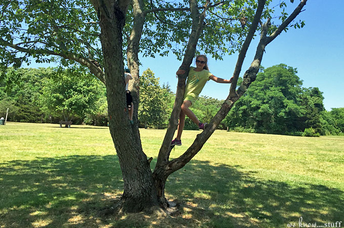 We love hiking with our kids so we put together these 6 Tips For Successful Nature Walks With Kids to share with you. The most important one? Let them lead the process!