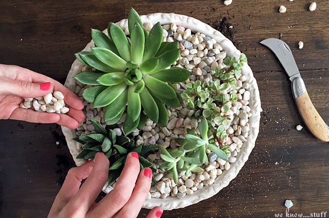 Do you love cactus and succulent plants? Then you'll love our super simple tutorial on how to make your very own potted succulent garden! 