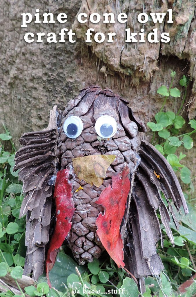 This pine cone owl craft is an easy way to get kids engaged in your nature walks. It also makes a fun classroom activity for the fall.
