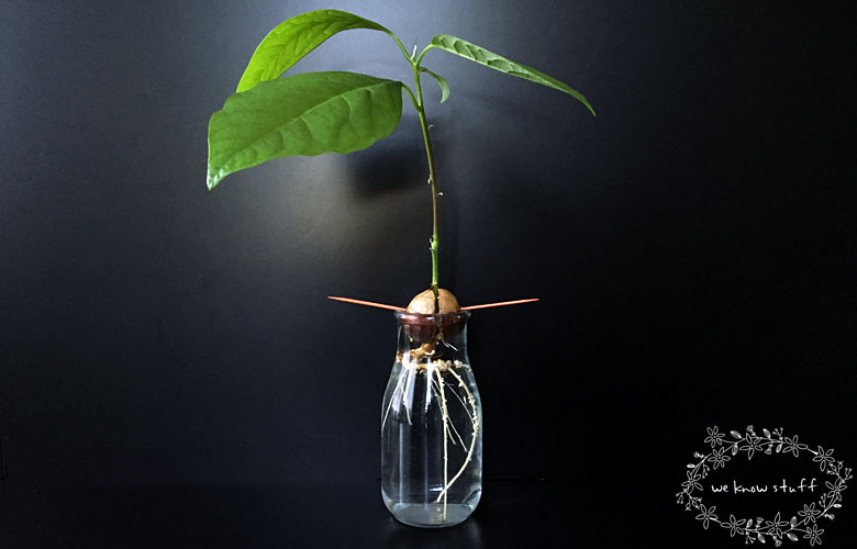 5 Simple Ways Your Kids Can Be More Green. Earth Day Tips. Being green doesn't have to be hard. With just a few simple changes, you can change the world!