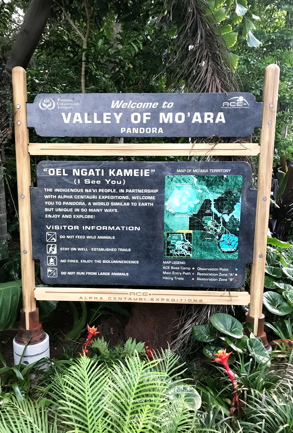 Unsure of where to go on your next family vacation? Visit Disney's Pandora - Avatar World at Animal Kingdom. Our family thought it was magnificent! 