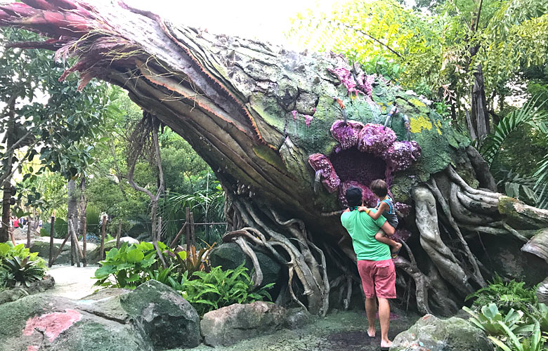 Unsure of where to go on your next family vacation? Visit Disney's Pandora - Avatar World at Animal Kingdom. Our family thought it was magnificent! 