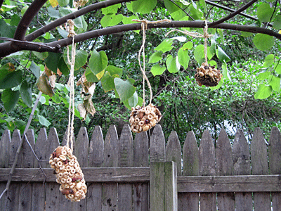 Pinecone Bird Feeders