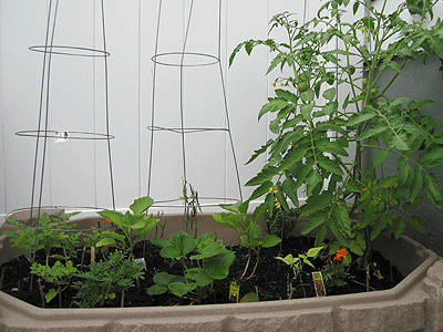 My Recycled Sandbox Garden, https://www.weknowstuff.us.com/we-know-stuff/2010/07/my-recycled-sandbox-garden.html