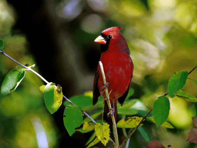 GeekPhilosopher: Instant download of free stock photos, images, backgrounds, and desktop wallpapers.GeekPhilosopher: Pictures can be used on personal or commercial web sites.