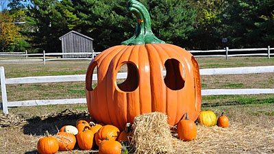 Harbes is a family run farm located in the North Fork's wine country. Harbes runs their Fall Festival & Pumpkin Picking events from 9/18-10/31.