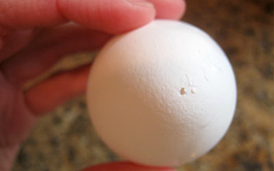 These cute little painted bunnies are awesome and make a perfect Easter decoration for kids. Who knew that a blown egg craft could be so simple? www.weknowstuff.us.com