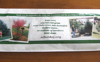 We Know Stuff Arbor Day