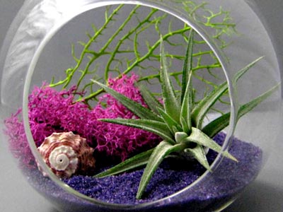 Sea & Asters, http://www.etsy.com/shop/seaandasters