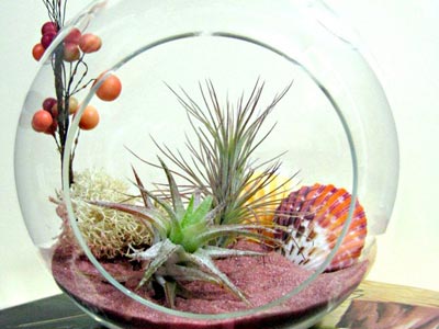 Sea & Asters, http://www.etsy.com/shop/seaandasters