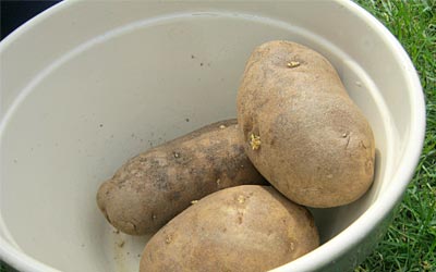 We Know Stuff Potato Pancakes