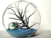 Sea & Asters, http://www.etsy.com/shop/seaandasters