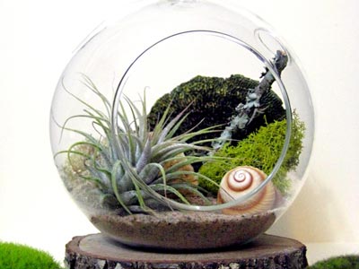 Sea & Asters, http://www.etsy.com/shop/seaandasters