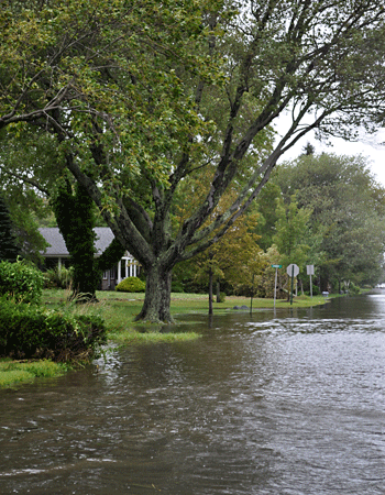 Hurricane Irene, www.weknowstuff.us.com