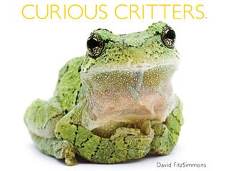 https://www.weknowstuff.us.com Curious Critters