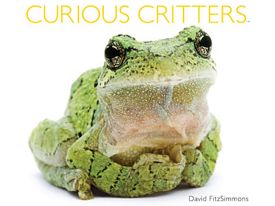 https://www.weknowstuff.us.com Curious Critters
