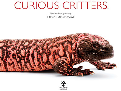 https://www.weknowstuff.us.com Curious Critters