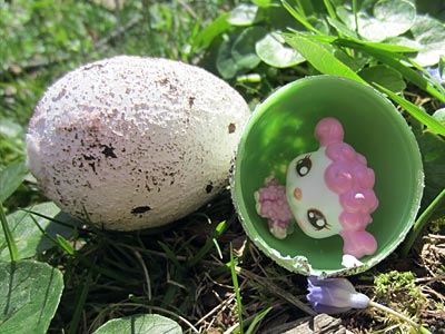 This Speckled Plastic Easter Egg craft idea is a great way to reuse all of your plastic eggs. Plus, reusing them each year is kinder to the environment. www.weknowstuff.us.com