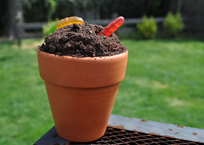 Dirt Cupcakes, Kids Garden Party, www.weknowstuff.us.com