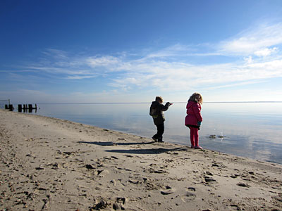 Path Beach Sand Nature Wall Mural