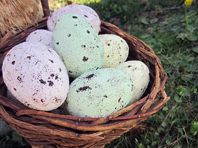 This Speckled Plastic Easter Egg craft idea is a great way to reuse all of your plastic eggs. Plus, reusing them each year is kinder to the environment. www.weknowstuff.us.com