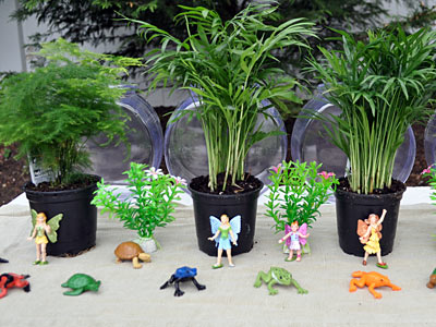 https://www.weknowstuff.us.com Fish Bowl Terrariums
