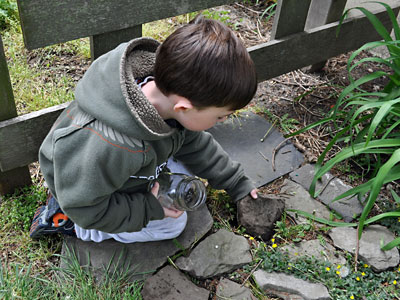 Kids' Craft: Bug Hunting with Recycled Jam Jars
