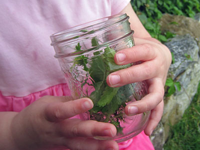 Kids' Craft: Bug Hunting with Recycled Jam Jars
