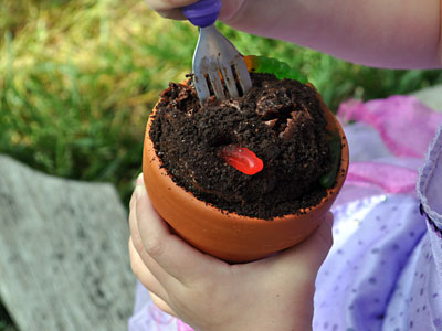 Dirt Cupcakes, Kids Garden Party,  www.weknowstuff.us.com