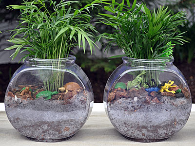 https://www.weknowstuff.us.com Fish Bowl Terrariums