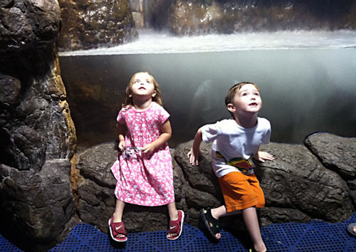 New York Aquarium, Need a Break? Go Find the Waterfall! Courtesy of Denine Anderson-Regan of We Know Stuff