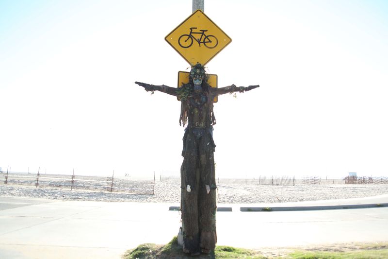 The Treeman of Venice Beach, The Treeman of Venice Beach, www.treemanity.com/