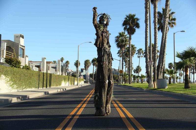 The Treeman of Venice Beach, The Treeman of Venice Beach, www.treemanity.com/