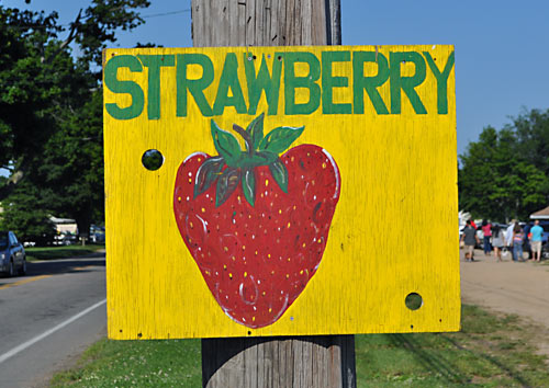 Strawberry Festival Mattituck is held on the North Fork of Long Island every June. It's a great family event full of old fashioned fun! We go every year!