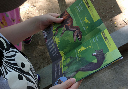Bronx Zoo Dinosaur Safari https://www.weknowstuff.us.com
