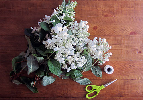https://www.weknowstuff.us.com Gardening With Kids - Arranging Hydrangeas